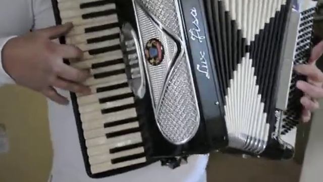 Rodinelia Accordian 120 Bass