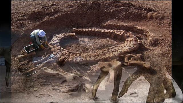 Открыт новый вид динозавров смотреть онлайн