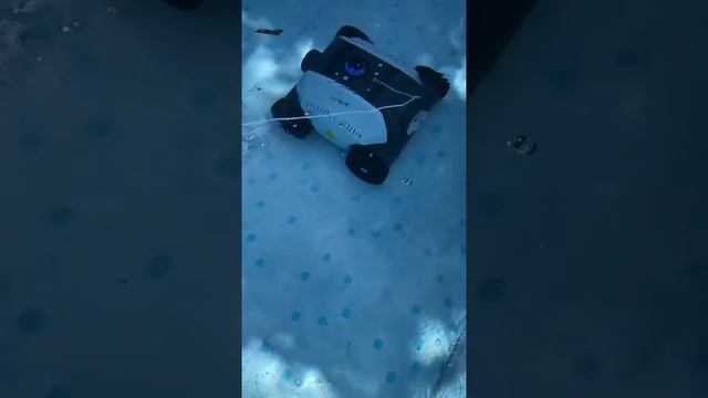 WYbot Cordless Robotic Pool Cleaner, Pool Vacuum Lasts 120mins Review смотреть онлайн