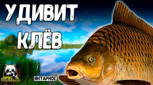 Русская рыбалка 4. результат вас удивит если будете рыбачить вот так #рр4