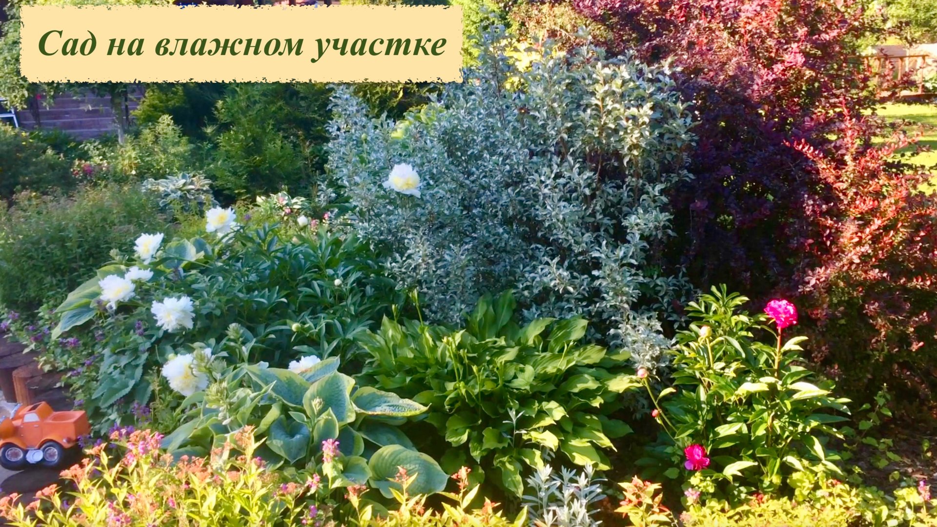 Сад на затопляемом участке. Как улучшить почву и что может расти во влажной низине. Наш опыт. смотреть онлайн