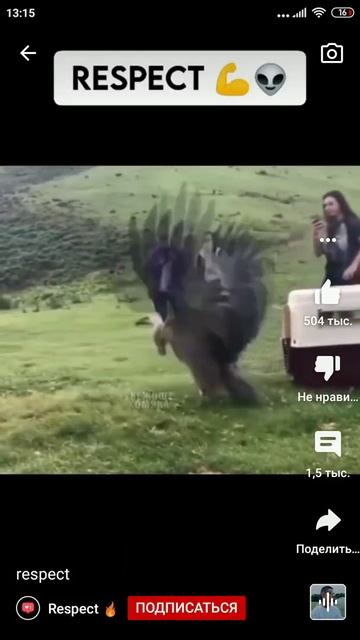 самый большой ворон смотреть онлайн