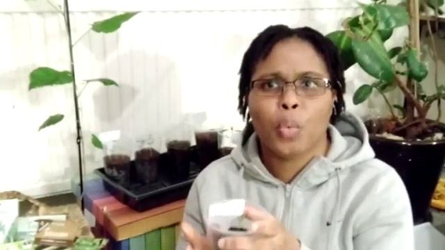 What To Sow in February - Seeds For February смотреть онлайн