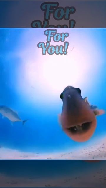 ты сможешь!!!