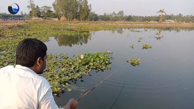 Amazing Fishing Tricks ll Unique Traditional Olive barb Fishing ll Village Fishing Method смотреть онлайн