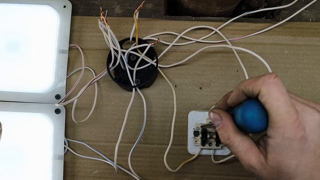 Неправильно работает двухклавишный выключатель смотреть онлайн