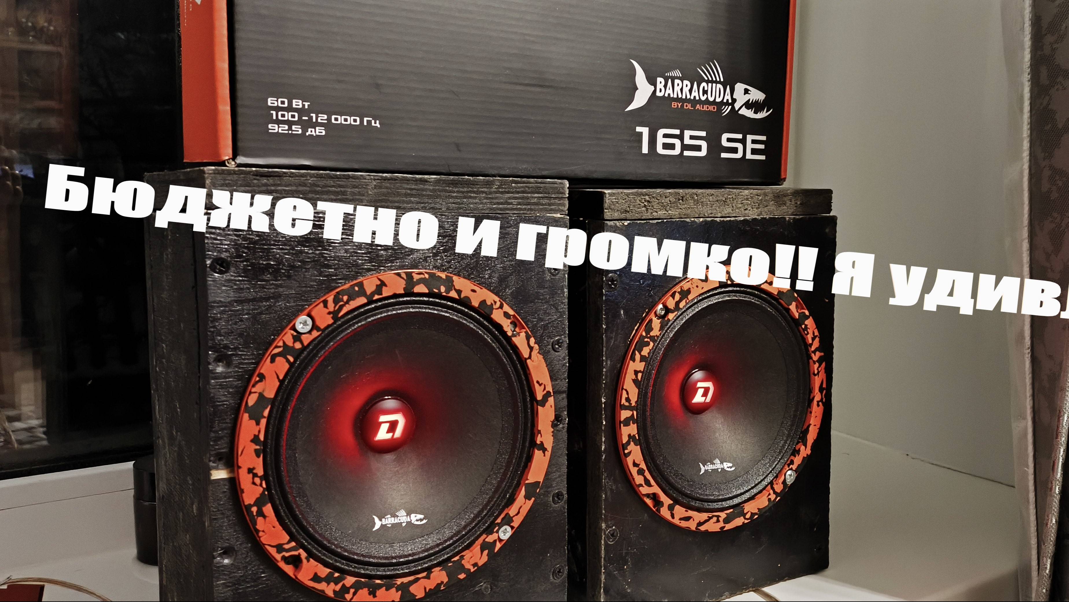 DL AUDIO Barracuda 165 SE ГРОМКО И БЮДЖЕТНО!!! Им не нужен усилитель!