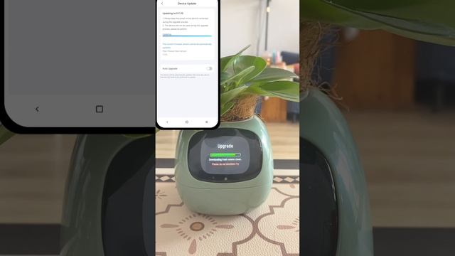 GUIDE_How Software upgrade for smart pet planter Ivy смотреть онлайн