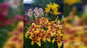 Туган көнең белән,Әнием!С Днём Рождения,Мама!Татар җыры.