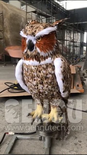 owl смотреть онлайн