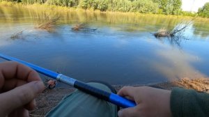 ВОТ ЭТО КЛЁВ! ЗА 2 ЧАСА НАЛОВИЛ. РЫБАЛКА на БУКСИРЧИК