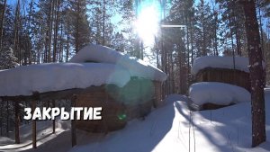 Закрытие сезона по пушнине. Рыси обчистили два путика и даже попадали в капканы.