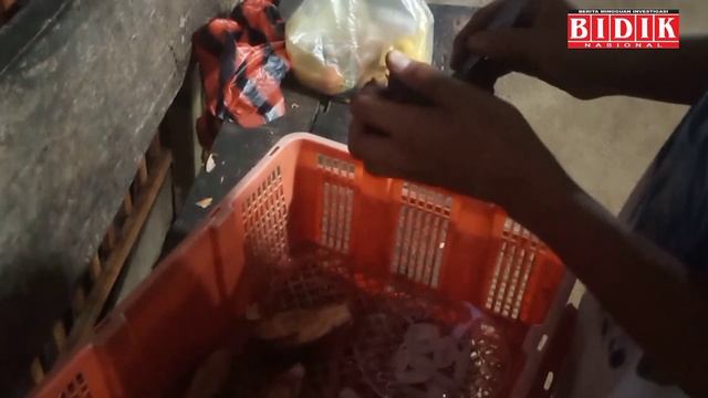 Manfaat dan Khasiat Buah Nipah... смотреть онлайн