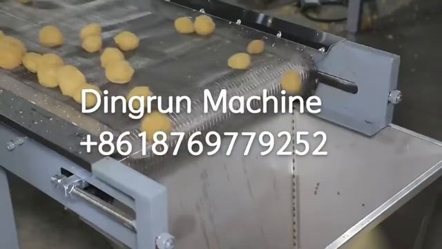 200-250kg Soya protein production line смотреть онлайн