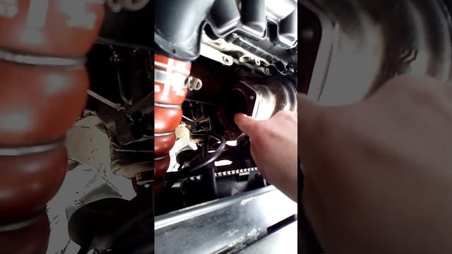 European Auto Enthusiast Cult