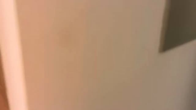 Южная Шри-Ланка в апреле 2024. Мерисса, Велигама, Унаватуна, Ахангама смотреть онлайн