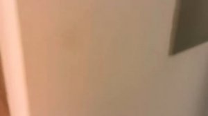 Южная Шри-Ланка в апреле 2024. Мерисса, Велигама, Унаватуна, Ахангама