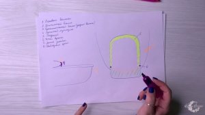 Урок 4 строение ногтя