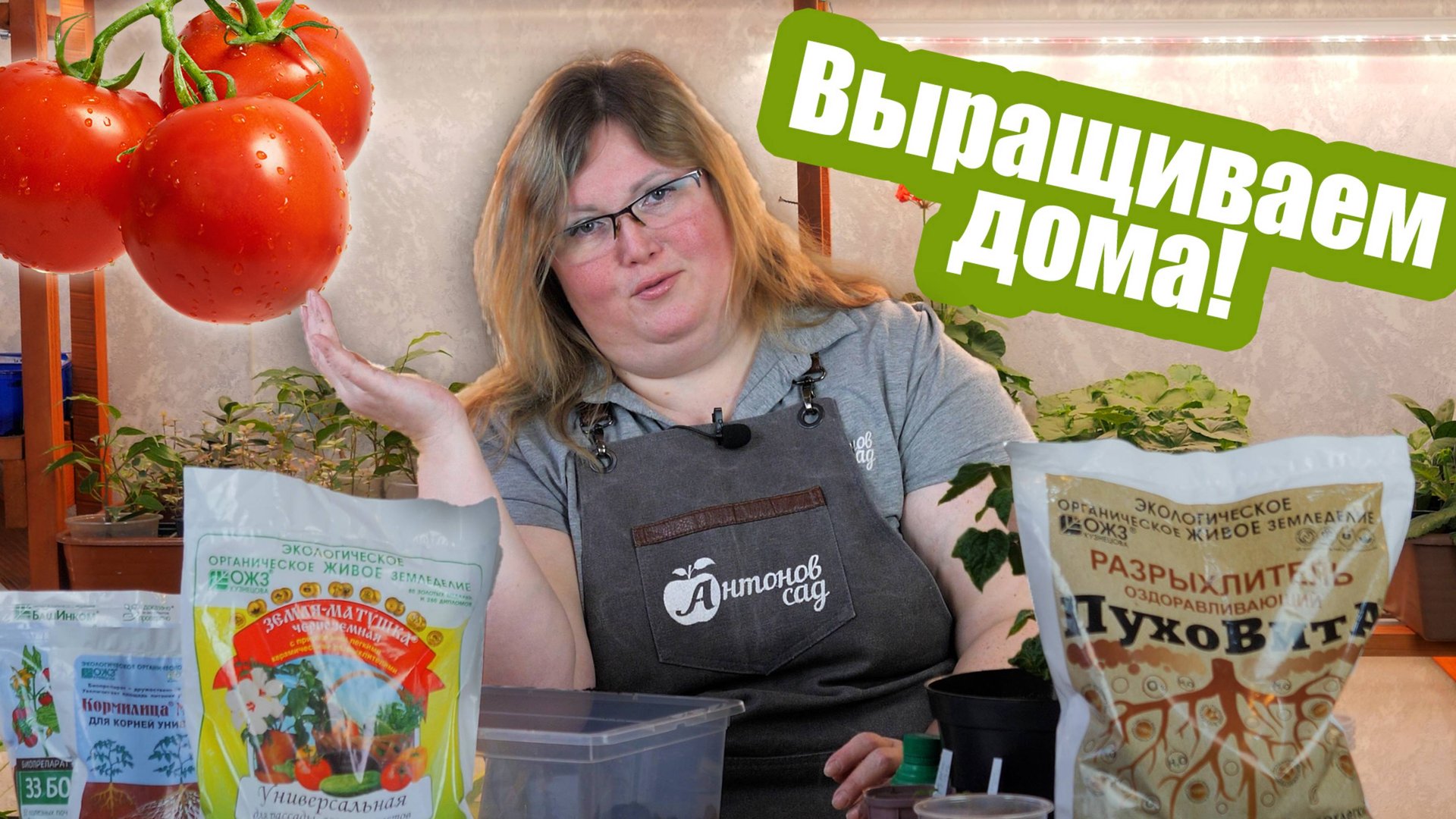 Томаты для дома: помидоры на подоконнике круглый год! смотреть онлайн