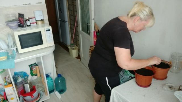 19.09.2022. Було б добре,якби все получилося. смотреть онлайн