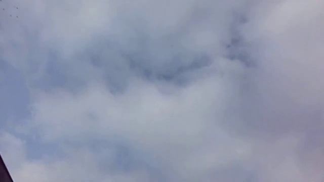 29 11 2020 ф 1 Володя карьер смотреть онлайн