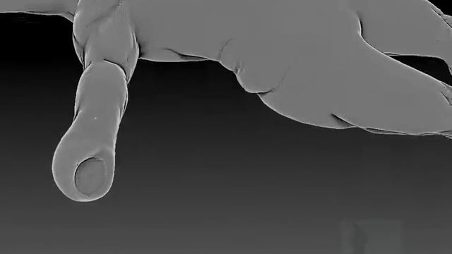 RD Muscle forward History Rec смотреть онлайн