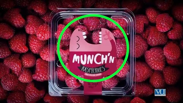 Topic 164 | Theory Designing Packaging In adobe InDesign | Important Techniques 02 | Graphic Design смотреть онлайн