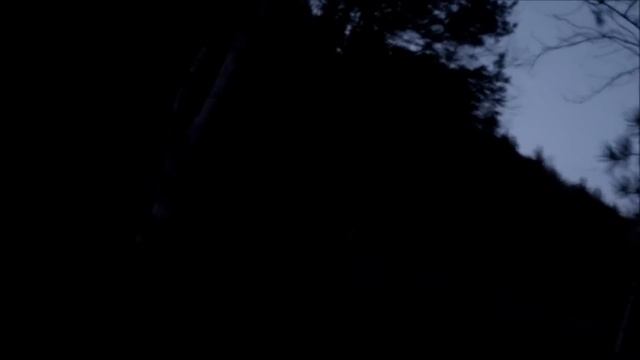 Весна охота на вальдшнепа. Теория и практика в лесу 2017 смотреть онлайн