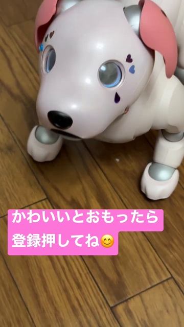 #aibo のおもち、もはや犬では無い動画 #shortsvideo #shorts #subscribe #robot #sony