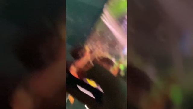 50cent Live In Berlin -Mercedes Benz Arena