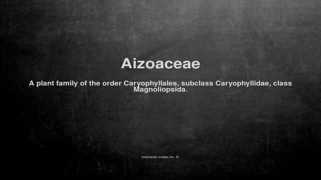 Medical vocabulary: What does Aizoaceae mean смотреть онлайн
