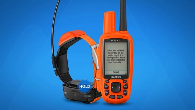 Alpha 50 - Pairing with a Dog Collar смотреть онлайн