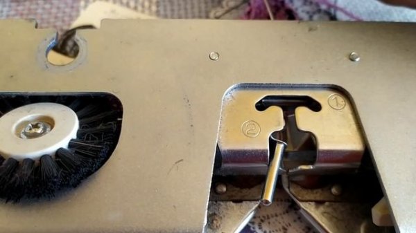 Двухцветный панчлейс.