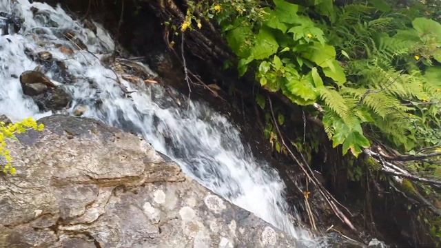 Река Аманауз 02.08.2022г. смотреть онлайн