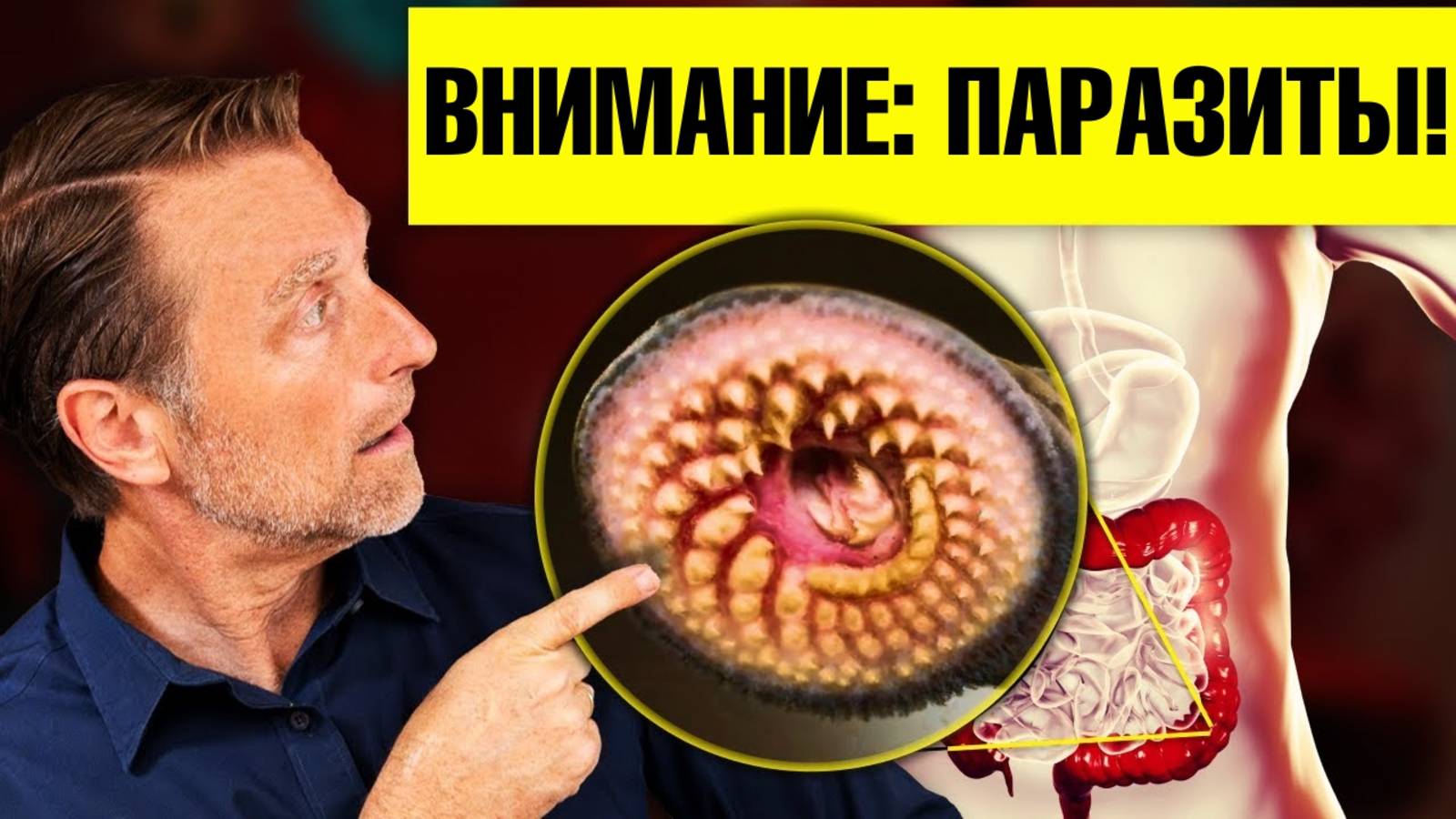 7 признаков наличия паразитов. Натуральные средства от паразитов👍 смотреть онлайн