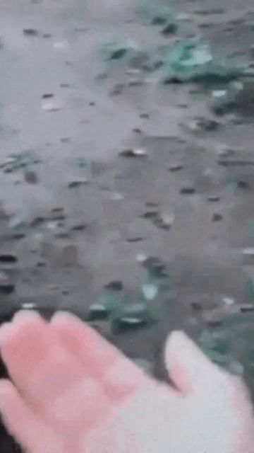 ВОРОБЬИ ЭТО ДЕТИ ГОЛУБЕЙ