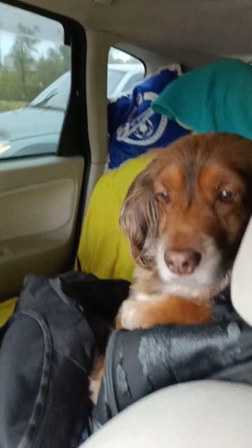 Всем кто в дороге,доброго пути!!!#лукоянов#анапа