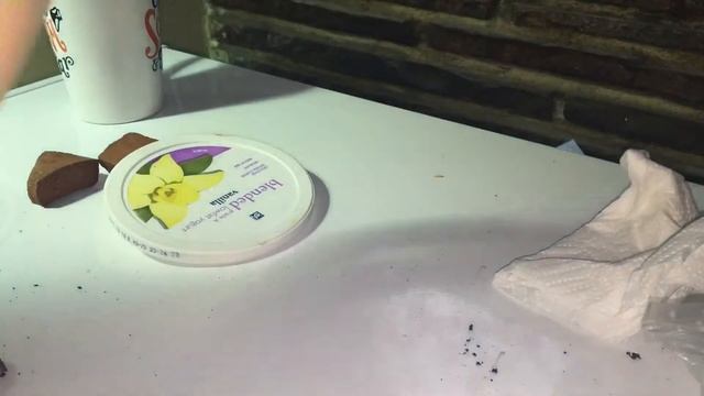 Tarantula Sling Rehousing смотреть онлайн