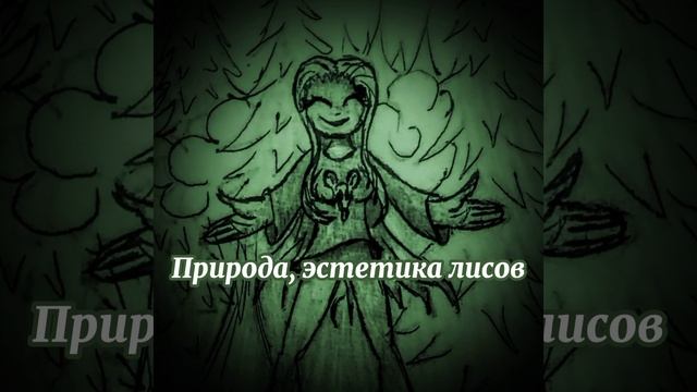 Природа, эстетика лесов🌲#mysic #музыка #раслабляющаямузыка смотреть онлайн