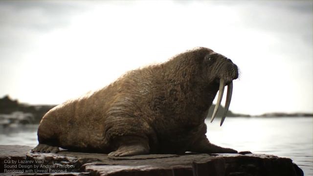 Walrus short movie render in Unreal Engine 4 смотреть онлайн