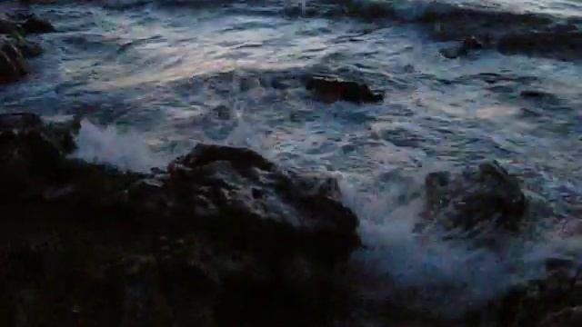 DSCN4439 смотреть онлайн