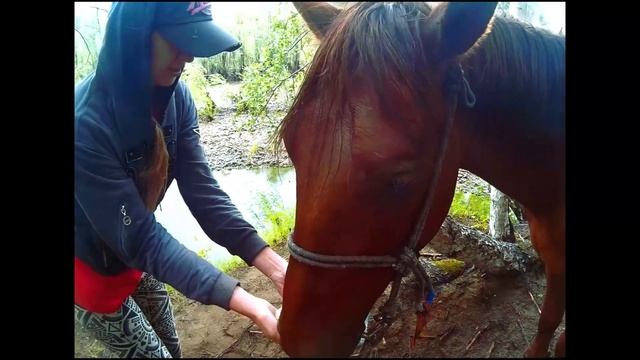 Экстримальная прогулка под дождем смотреть онлайн
