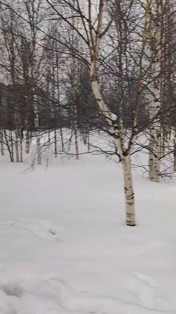 В последний день зимы. Инта. Аллея славы шахтёрам! смотреть онлайн