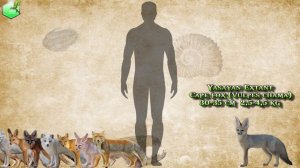 Fox Size Comparison [Living Extinct]
