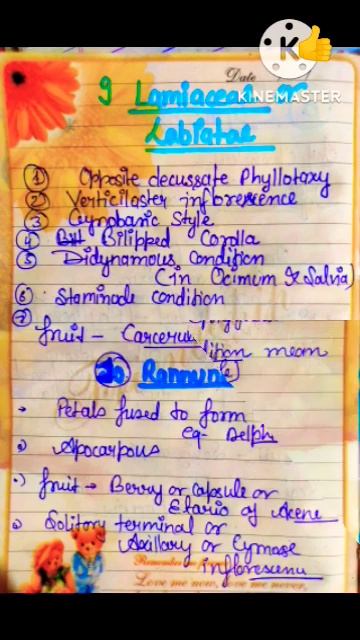 Plant family- Rannunculaceae, Lamiaceae and Umbellifereae #short смотреть онлайн