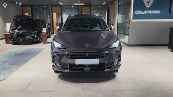 Cupra Terramar 2025 2025 обзор