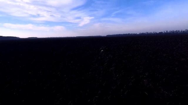 Охота на зайца январь 2023 года!!!!Почти ушел если б не Эльза-красотка!!!! смотреть онлайн