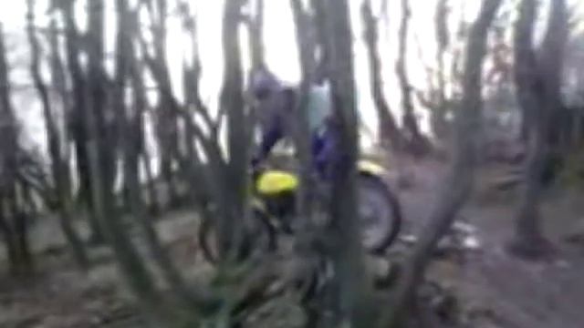 In memoriam: Edi J. смотреть онлайн