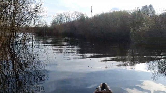 Дачно-майское,озеро,река,ёжик)) смотреть онлайн