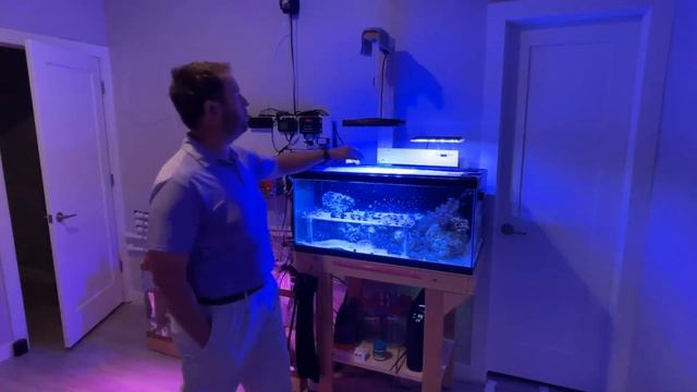 Introduction to my new reef tank and sump room! PAR readings, Equipment Tour, and growth teasers смотреть онлайн